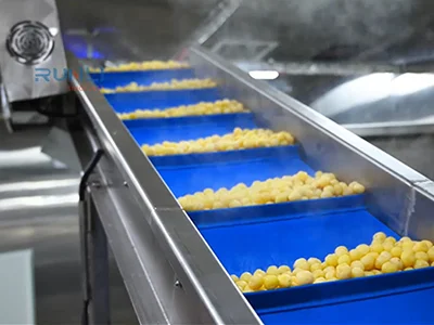 Línea completa de envasado de patatas
